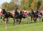 Dionysi Vilsbiburg 2008 Rennen 078