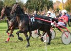 Dionysi Vilsbiburg 2008 Rennen 080