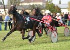 Dionysi Vilsbiburg 2008 Rennen 081