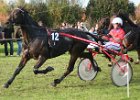 Dionysi Vilsbiburg 2008 Rennen 082