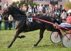 Dionysi Vilsbiburg 2008 Rennen 083