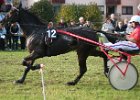 Dionysi Vilsbiburg 2008 Rennen 084