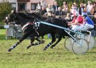 Dionysi Vilsbiburg 2008 Rennen 085