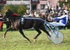 Dionysi Vilsbiburg 2008 Rennen 086