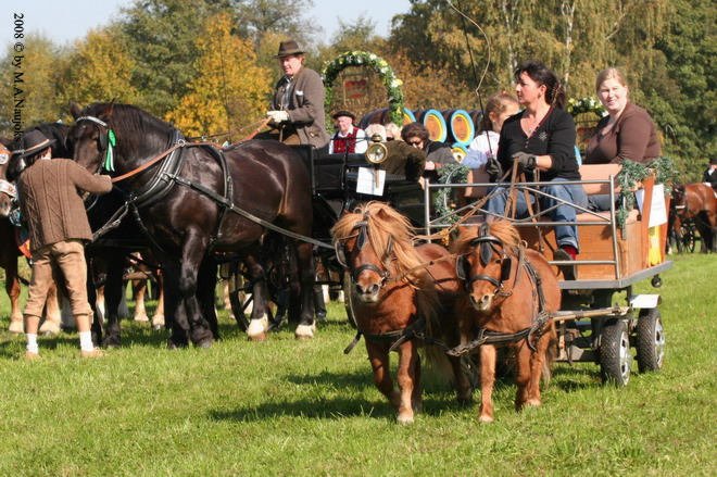 Dionysi Vilsbiburg 2008 Umritt 009