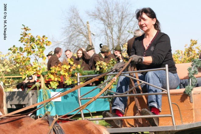 Dionysi Vilsbiburg 2008 Umritt 010
