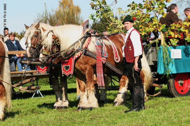 Dionysi Vilsbiburg 2008 Umritt 012