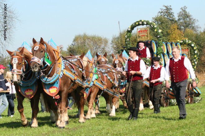 Dionysi Vilsbiburg 2008 Umritt 013