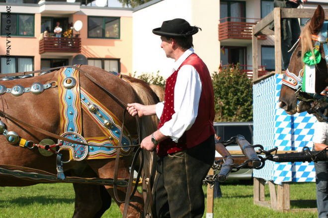 Dionysi Vilsbiburg 2008 Umritt 014