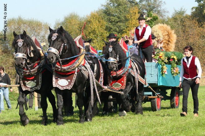 Dionysi Vilsbiburg 2008 Umritt 015