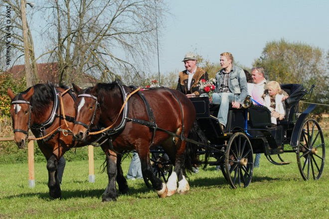 Dionysi Vilsbiburg 2008 Umritt 018