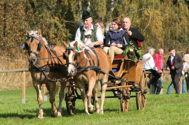 Dionysi Vilsbiburg 2008 Umritt 019