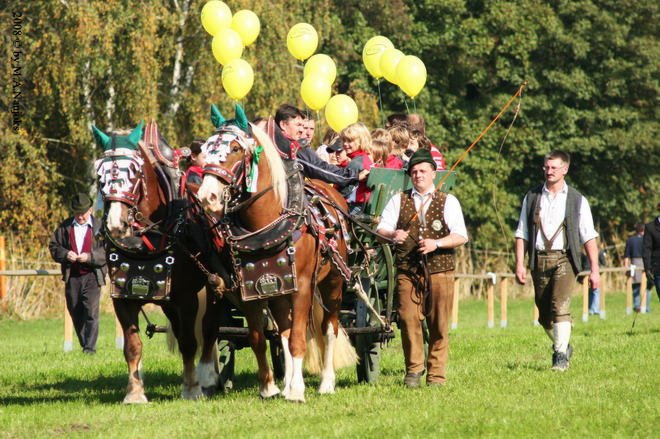 Dionysi Vilsbiburg 2008 Umritt 020