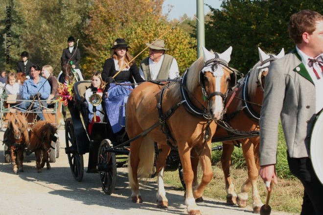 Dionysi Vilsbiburg 2008 Umritt 030
