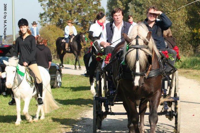 Dionysi Vilsbiburg 2008 Umritt 032