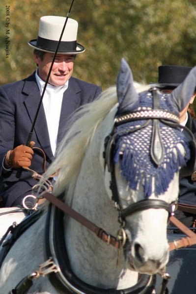 Dionysi Vilsbiburg 2008 Umritt 038