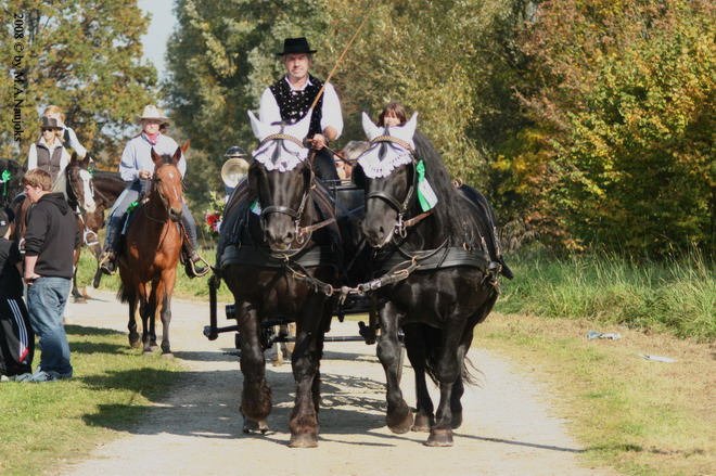 Dionysi Vilsbiburg 2008 Umritt 043