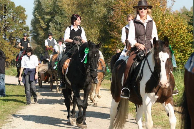 Dionysi Vilsbiburg 2008 Umritt 044