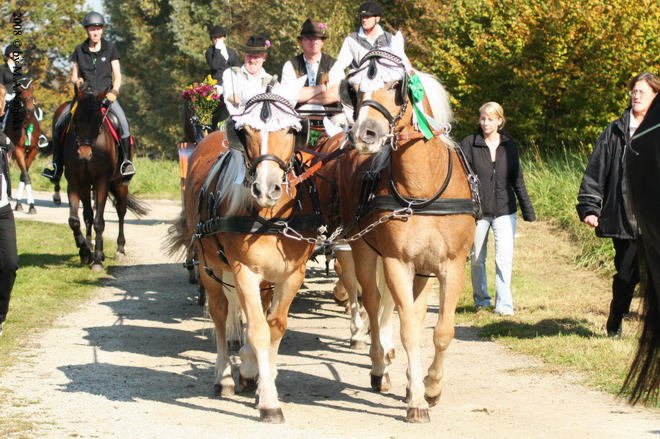 Dionysi Vilsbiburg 2008 Umritt 045