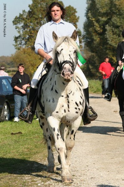 Dionysi Vilsbiburg 2008 Umritt 047
