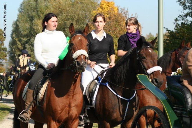 Dionysi Vilsbiburg 2008 Umritt 048