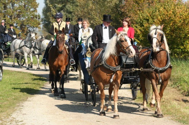 Dionysi Vilsbiburg 2008 Umritt 049
