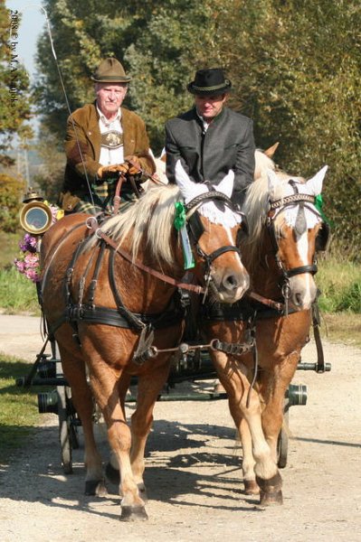 Dionysi Vilsbiburg 2008 Umritt 053