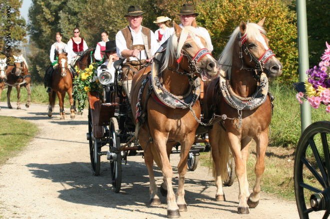 Dionysi Vilsbiburg 2008 Umritt 054