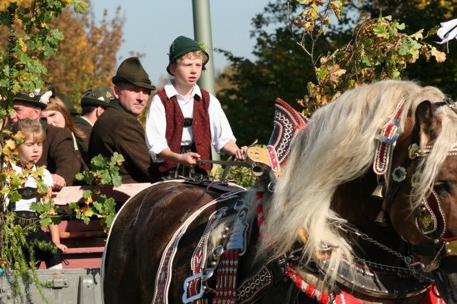 Dionysi Vilsbiburg 2008 Umritt 056