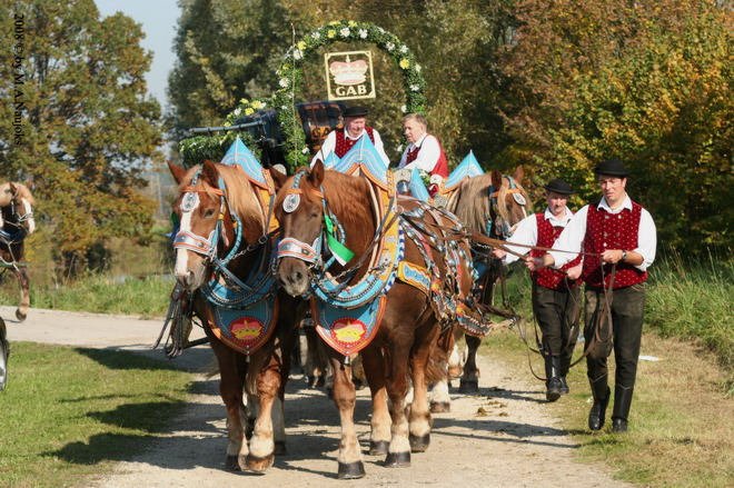 Dionysi Vilsbiburg 2008 Umritt 057