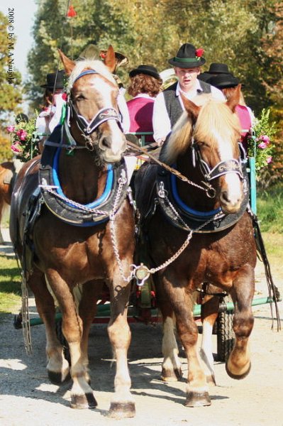 Dionysi Vilsbiburg 2008 Umritt 058