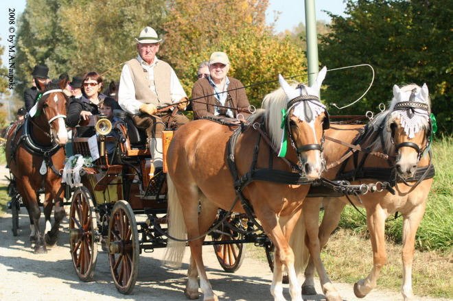 Dionysi Vilsbiburg 2008 Umritt 059
