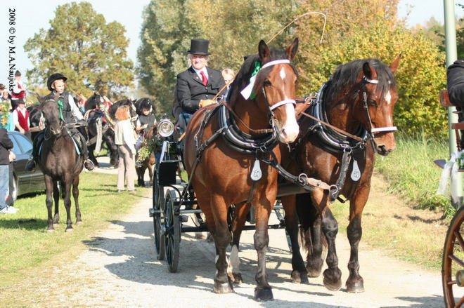 Dionysi Vilsbiburg 2008 Umritt 060