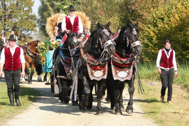 Dionysi Vilsbiburg 2008 Umritt 065