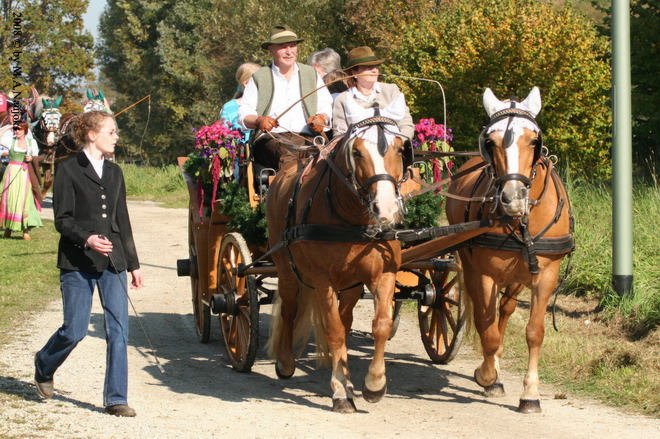 Dionysi Vilsbiburg 2008 Umritt 068