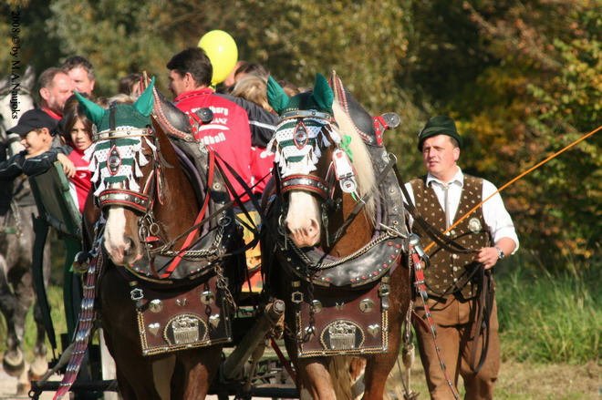 Dionysi Vilsbiburg 2008 Umritt 070