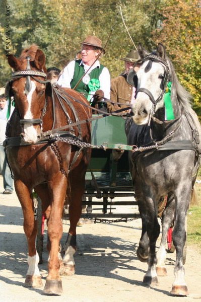 Dionysi Vilsbiburg 2008 Umritt 071