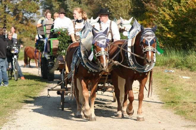 Dionysi Vilsbiburg 2008 Umritt 072