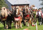 Dionysi Vilsbiburg 2008 Umritt 004
