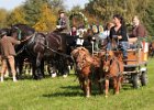 Dionysi Vilsbiburg 2008 Umritt 009