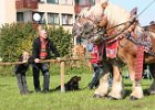 Dionysi Vilsbiburg 2008 Umritt 011