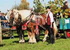 Dionysi Vilsbiburg 2008 Umritt 012