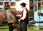 Dionysi Vilsbiburg 2008 Umritt 014