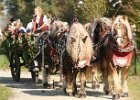 Dionysi Vilsbiburg 2008 Umritt 041