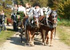 Dionysi Vilsbiburg 2008 Umritt 072
