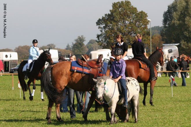 Dionysi Vilsbiburg 2008 Vorbereitung 012
