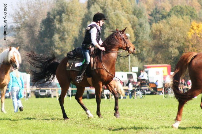 Dionysi Vilsbiburg 2008 Vorbereitung 018