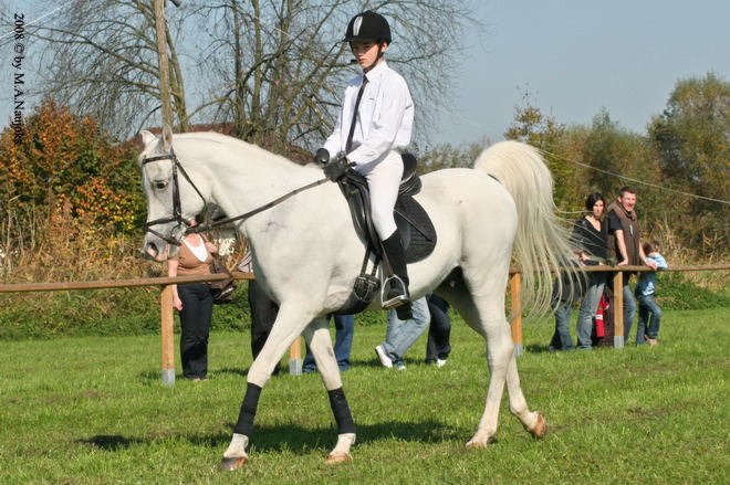 Dionysi Vilsbiburg 2008 Vorbereitung 025
