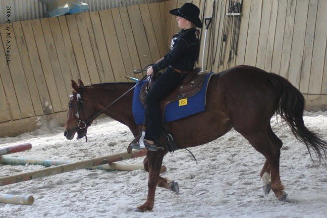Westernturnier Hoschkara 2008 11