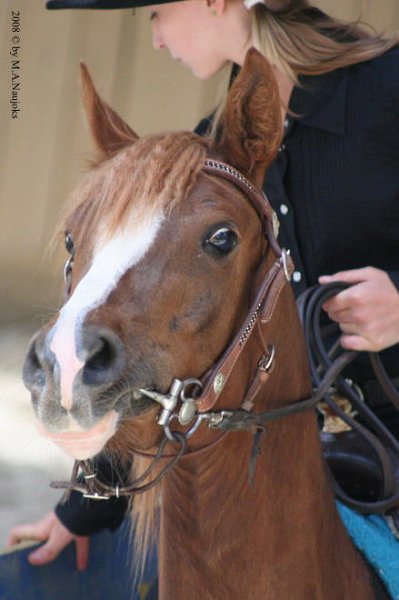 Westernturnier Hoschkara 2008 15